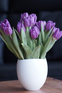 Lila Tulpen in einer weißen Vase, Frühlingserwachen in der Naturheilpraxis Ulrike Rütten - praxis-ruetten.de